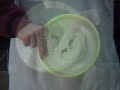 frisbee throw sidearm frisbee throw sidearm