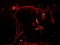 Six Organs of Admittance - live destroying (krems/austria) Six Organs of Admittance - live destroying (krems/austria)