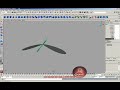 Wing expression.Part2.Aviad Van-Prach07.heb