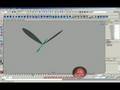 Wing expression.Part2.Aviad Van-Prach07.heb
