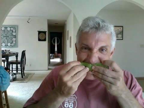 how to aloe vera on skin