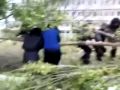 When Trees Attack!