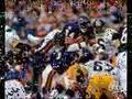 chicago bears