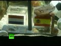 Paul The Octopus Predict The Final - Netherlands VS Spain