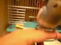 videos de 090104_1844~0001.m4v