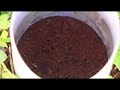 Presentation of the potential of biochar to improve the fertility of poor soils, and to sequester carbon.Focus on Australia.