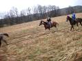 Koń jest bogiem. Galop nałogiem