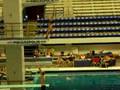 DIVING-612b-5m