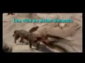 No mas Carbón de Perijá - Venezuela No mas Carbón de Perijá - Venezuela