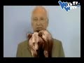 Best of Stoiber
