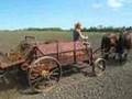 horse farming Neil Dimmock