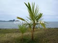 malibod by zandro cantilan, surigao