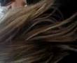 videos de les plumo