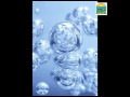 Inglés V Cecyte 7 Eva López Ramírez Villahermosa Tabasco - Chorrito Cri Cri