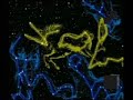 Ancient Roots of Astronomy and Astrology (part 2 of 2) Ancient Roots of Astronomy and Astrology (part 2 of 2)