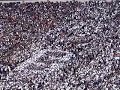 Hey Baby! Beaver Stadium/Penn State Tradition