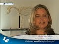 Hunde-Reha-Wetterau.de