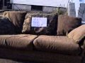 Manchester To Cali: Sleeper Couch