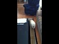 Click here to watch this video Bichon frise puppies