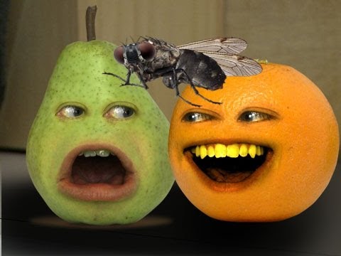 pet - Orange gets a new pet...that starts eating everyone in the kitchen! FREE version of my video game Kitchen Carnage: iTunes: http://bit.ly/AOKitchenCarnageLite...