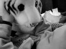 Davin sings to white Bengal tiger