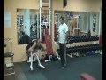 Просмотр видео
