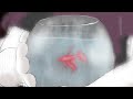 Click here to watch this video 第34屆金穗獎入圍學生作品《白雪公主》Dear Snow White 預告