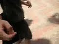 tsunami