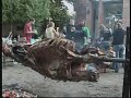 DE-TTK G�lyat�bor 2006
