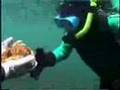 Buceo de niños de la Teletón en Isla Robinson Crusoe.Chile