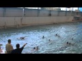 Нажмите для просмотра : Открытое Первенство Воронежской области январь 2011г. Бриз Воронеж 98 г.р. - г. Воронеж 96 г.р.