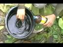 Composting Catalyst