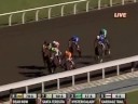 2008 Breeders\