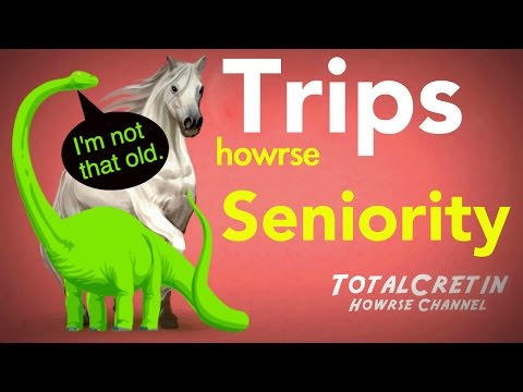 how to bid on howrse
