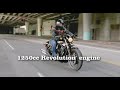 Harley-Davidson VRSC-2008 Harley-Davidson VRSC-2008