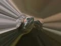 Worm-Munching Turtle Worm-Munching Turtle