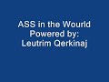 Ass In The World Qerkinajj