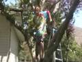 anou ther funny e mail video anou ther funny e mail video
