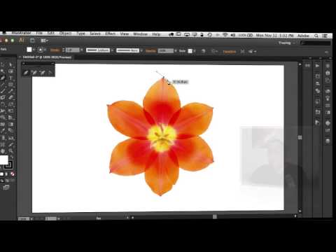 how to use the pen tool in illustrator