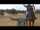 The Ranch