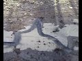 Burnout - Yamaha FZ6S Burnout - Yamaha FZ6S