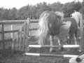 Turbo's Dedecation To Diesal ; You Are Not Alone ♥