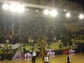 AEK - Aigalew (mpasket) 2008 , www.aek-world.gr
