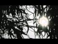 A brief excerpt from the Young Adult novel "The Year of my Miraculous Reappearance," read over an original video made specially for the reading.