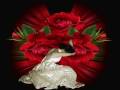 Της μοιρας το παιχνιδι 