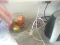 Destroy Joeys 80\ Destroy Joeys 80\