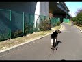 スケボー犬 ウラン Dec.04.2009 Japan