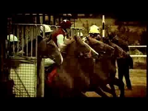 racing results cheltenham