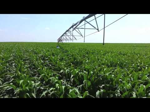 Life of a Farmer: July