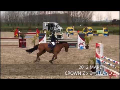 CITA 6-YO CLASS MEERDONK APRIL 2018